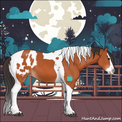 Horse Color:Bay Splash Tobiano Appaloosa 