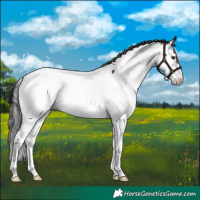 Horse Color:Brown Fewspot 