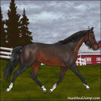 Horse Color:Brown Tobiano