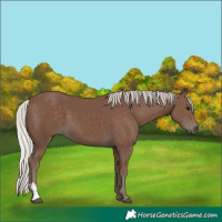 Horse Color:Silver Black 