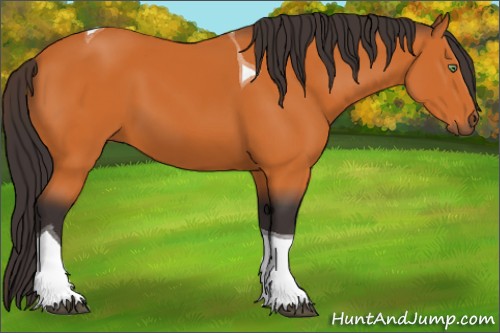 Horse Color:Buckskin Tobiano 