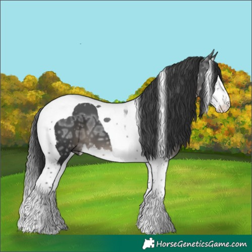 Horse Color:White Spotted Black Ice Splash Tobiano 