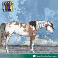 Horse Color:Sable Champagne Sabino Tobiano Varnish  and Gray Amber Champagne Sabino Tobiano Varnish 