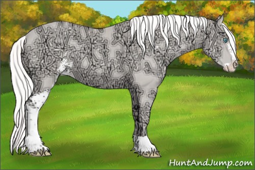Horse Color:Silver Perlino Ice Sabino 