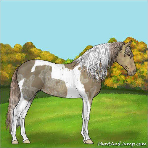 Horse Color:Chocolate Palomino Ice Tobiano 