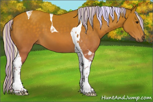 Horse Color:Painted Silver Buckskin Tobiano 