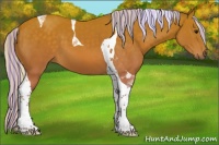 Horse Color:Painted Silver Buckskin Tobiano 