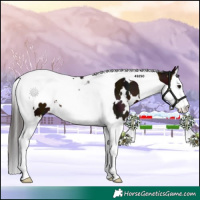 Horse Color:White Spotted Midnight Bay Splash Tobiano 