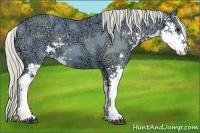 Horse Color:Watercolor Silver Black Ice Sabino 