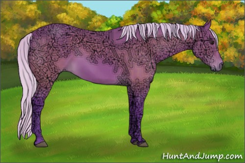 Horse Color:Watercolor Silver Bay Ice 