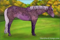 Horse Color:Watercolor Silver Bay Ice 