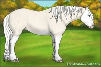 Horse Color:Cremello Splash  Brindle