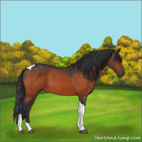 Horse Color:Brown Tobiano Rabicano 