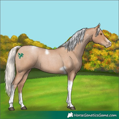 Horse Color:Silver Blue Roan Pearl Tobiano Frame