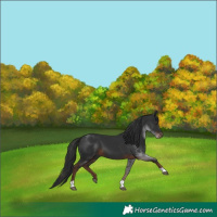 Horse Color:Liver Chestnut Tobiano 