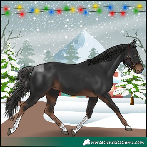 Horse Color:Liver Chestnut Tobiano 