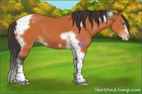 Horse Color:Bay Splash Tobiano Frame Blanket 