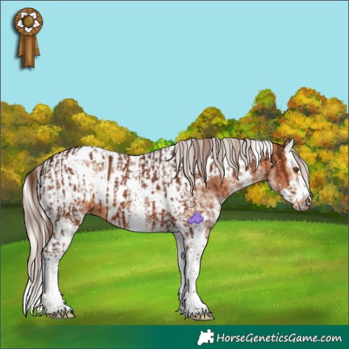Horse Color:White Spotted Liver Chestnut Splash  and White Spotted Silver Bay Splash Tobiano Frame 
