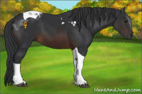 Horse Color:Brown Tobiano 