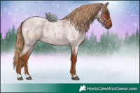 Horse Color:Red Roan 