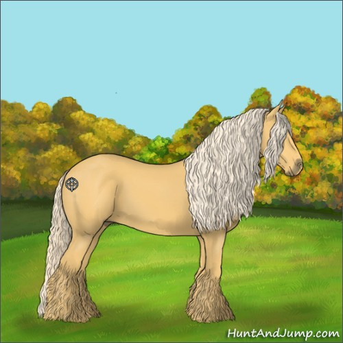 Horse Color:Palomino 