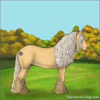 Horse Color:Palomino 
