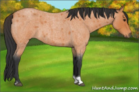 Horse Color:Bay Roan Tobiano 