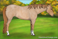 Horse Color:Red Roan Tobiano 