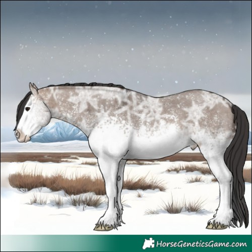 Horse Color:White Spotted Brown Ice Dun Sabino 