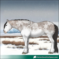 Horse Color:White Spotted Brown Ice Dun Sabino 