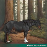 Horse Color:Liver Chestnut Tobiano