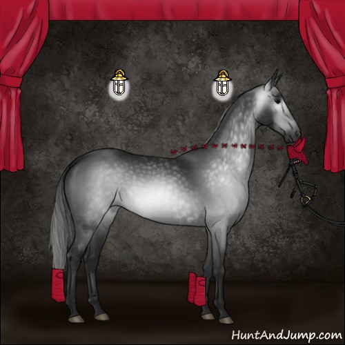 Horse Color:Gray Black 