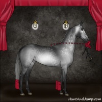 Horse Color:Gray Black 