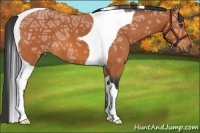 Horse Color:Bay Ice Tobiano 