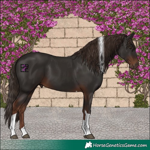 Horse Color:Liver Chestnut Tobiano 