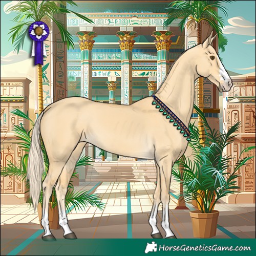 Horse Color:Palomino Dun 