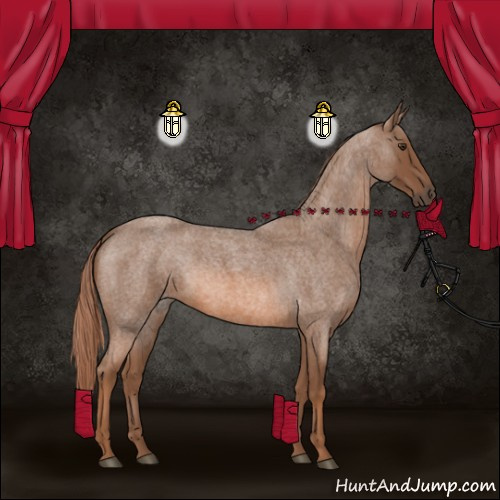 Horse Color:Red Roan