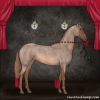 Horse Color:Red Roan 