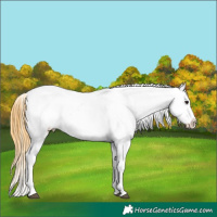 Horse Color:Smoky Grullo Roan Near Leopard Brindle