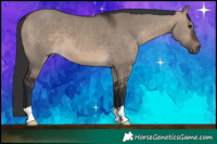 Horse Color:Brown Dun