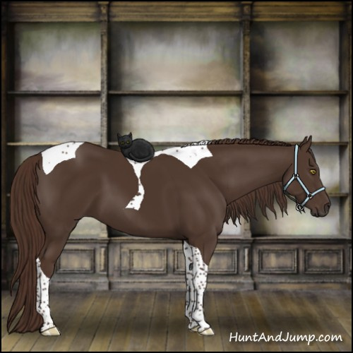 Horse Color:Liver Chestnut Tobiano 