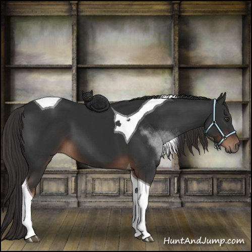 Horse Color:Liver Chestnut Tobiano