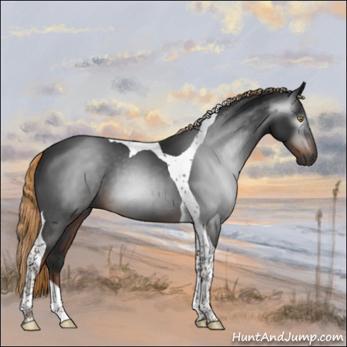 Horse Color:Gray Liver Chestnut Tobiano