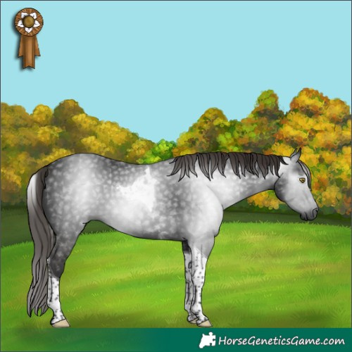 Horse Color:Gray Liver Chestnut Tobiano 