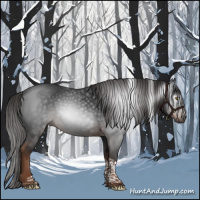 Horse Color:Gray Liver Chestnut Tobiano 