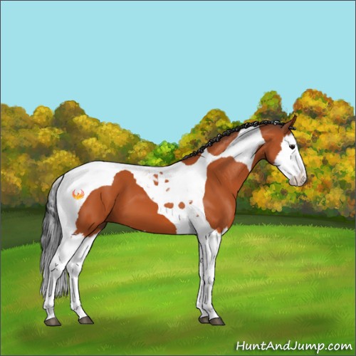 Horse Color:Bay Splash Tobiano