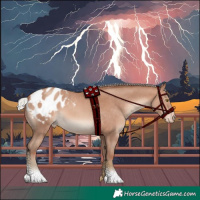 Horse Color:Silver Sable Champagne Blanket 