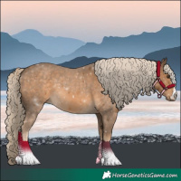 Horse Color:Chocolate Palomino 