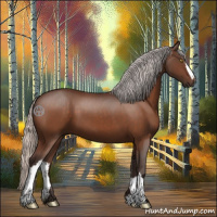 Horse Color:Silver Brown 