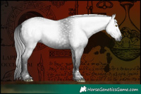 Horse Color:Gray Liver Chestnut Tobiano 